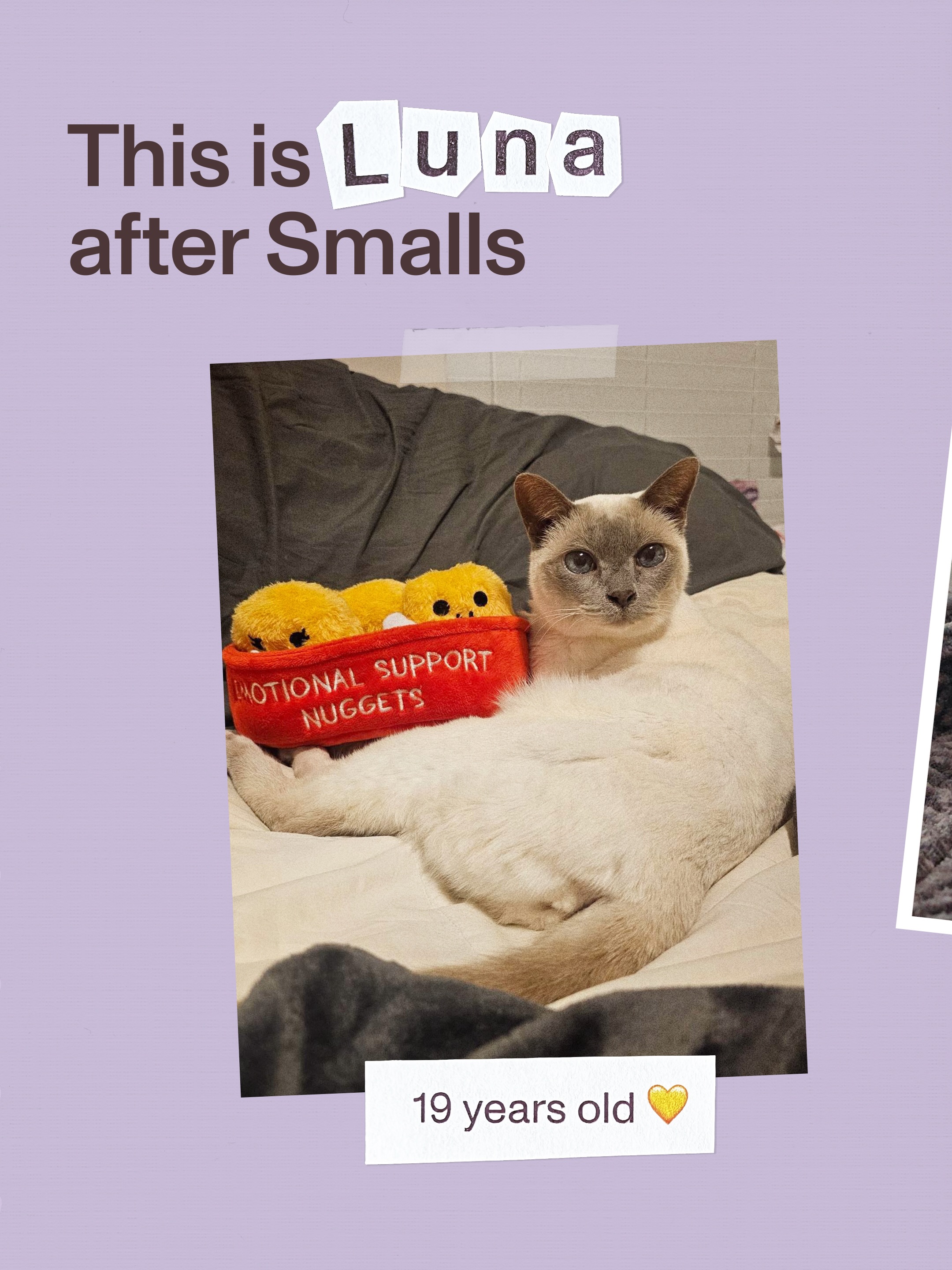 Smalls Facebook ad