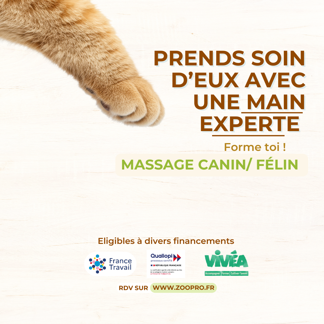 Zoopro - formations sur les animaux Facebook ad