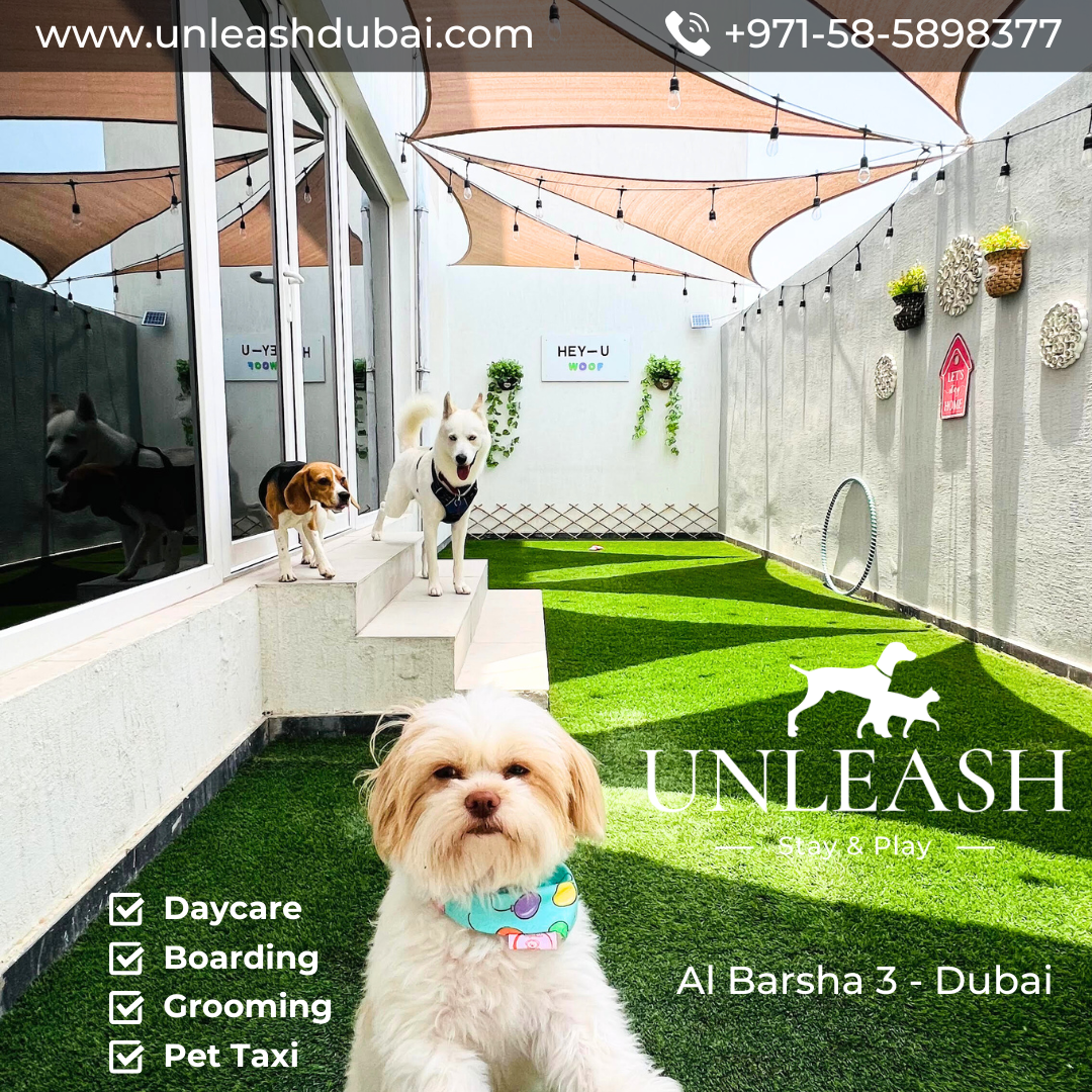 Unleash Pet Care - Dubai Facebook ad: Holiday Planning Stressing You Out?