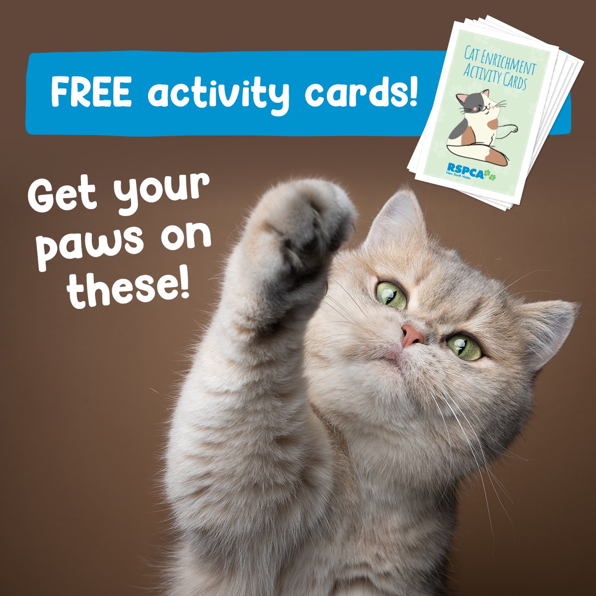 RSPCA NSW Facebook ad