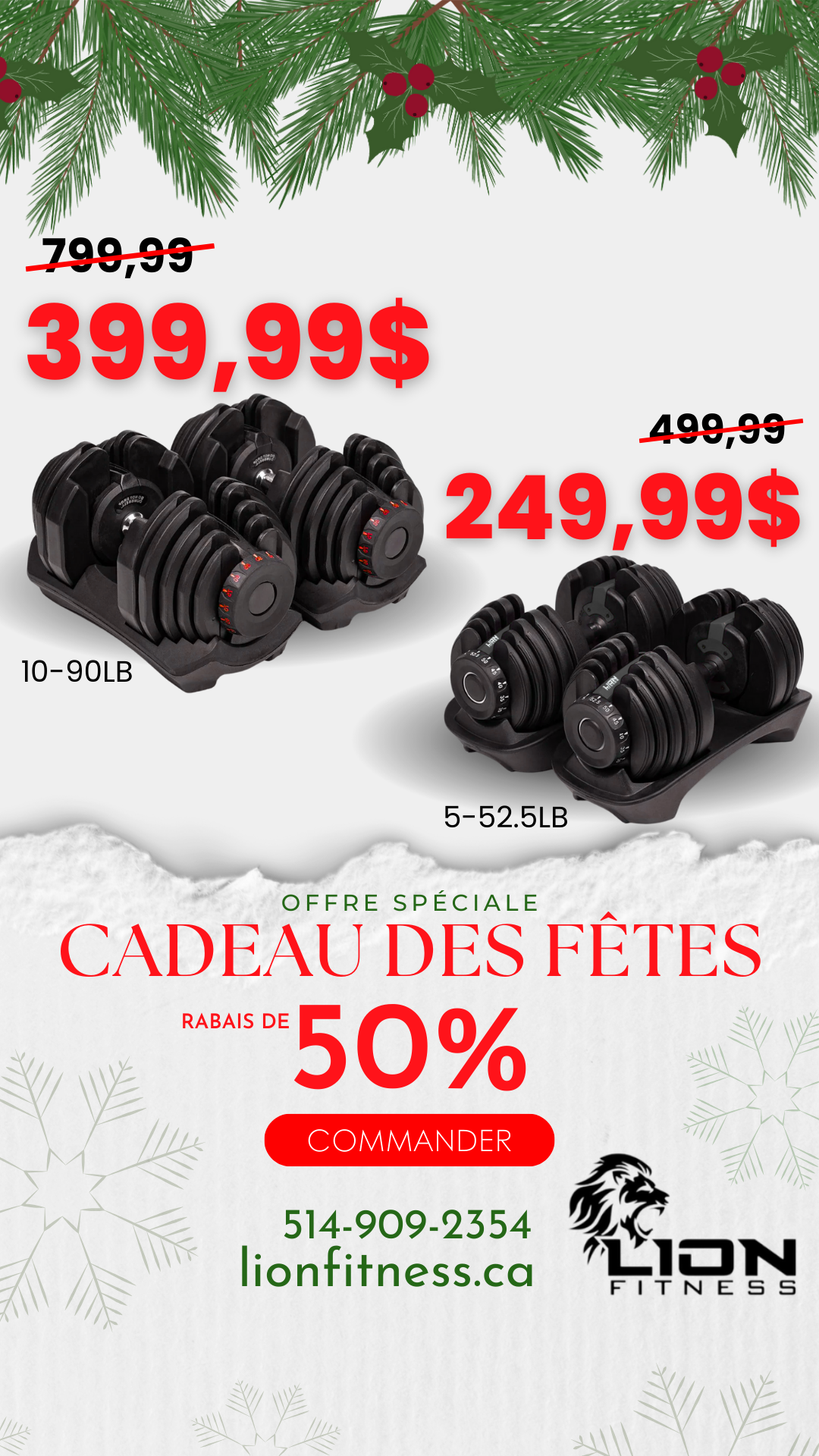 Lion Fitness Facebook ad