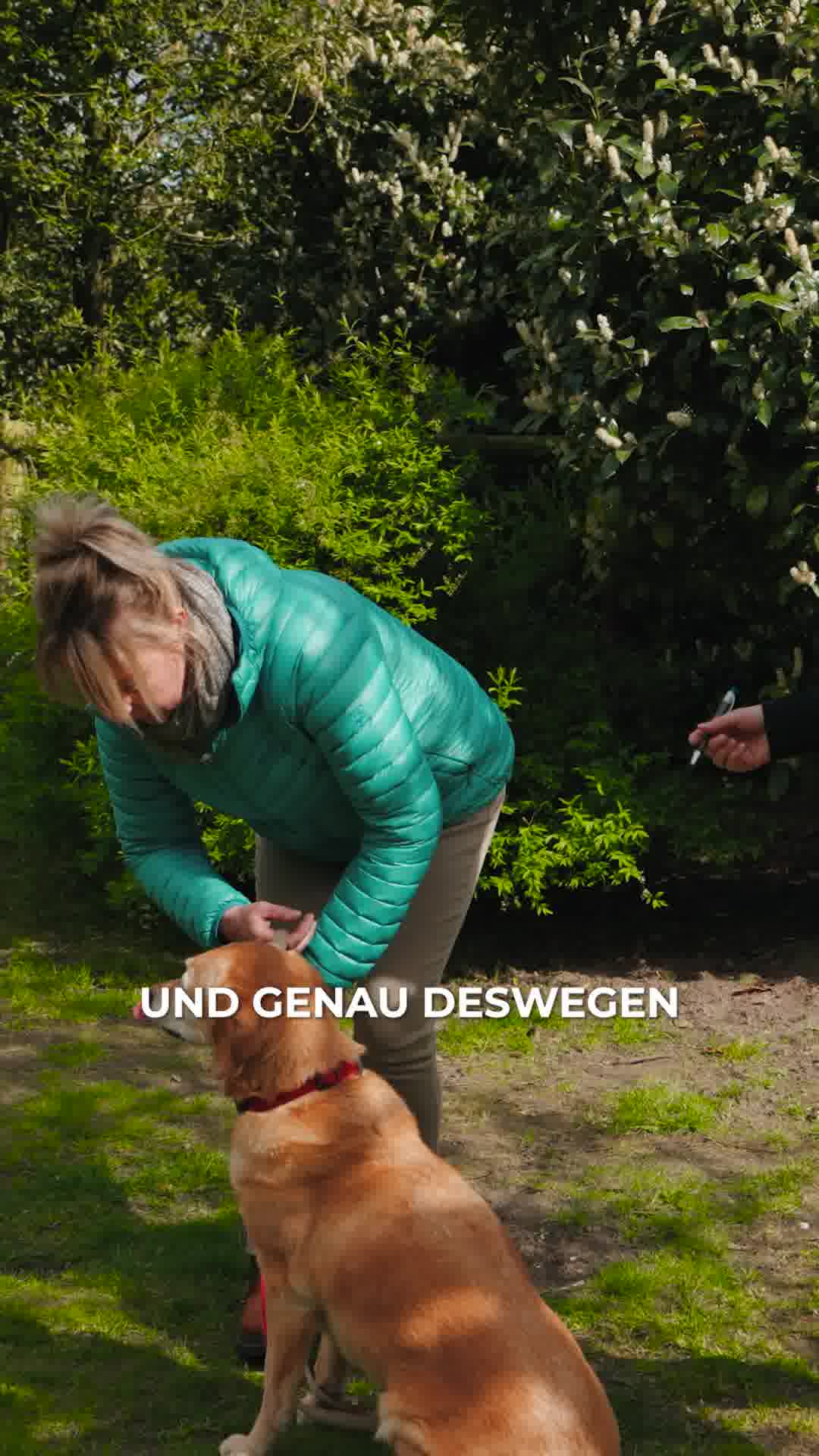 Ziemer & Falke - Schulungszentrum für Hundetrainer Facebook ad from Apr 10, 2026