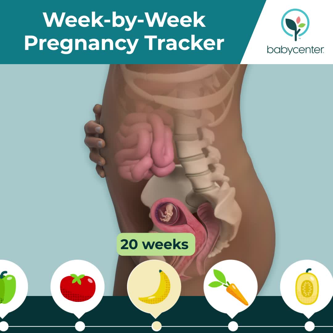 BabyCenter Facebook ad: #1 Pregnancy & Parenting App | BabyCenter