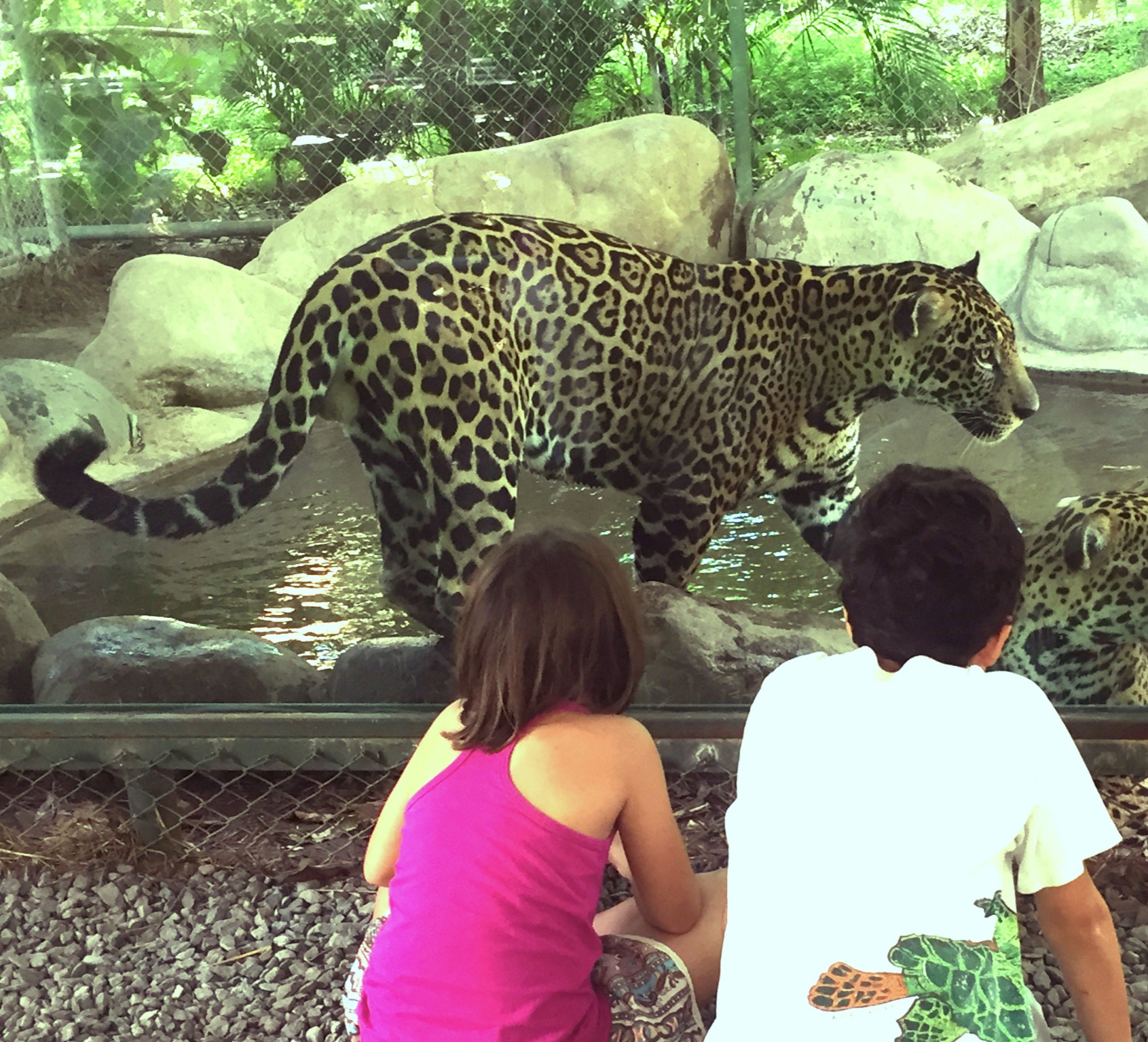 Natuwa Santuario de Vida Silvestre Facebook ad from Mar 16, 2026