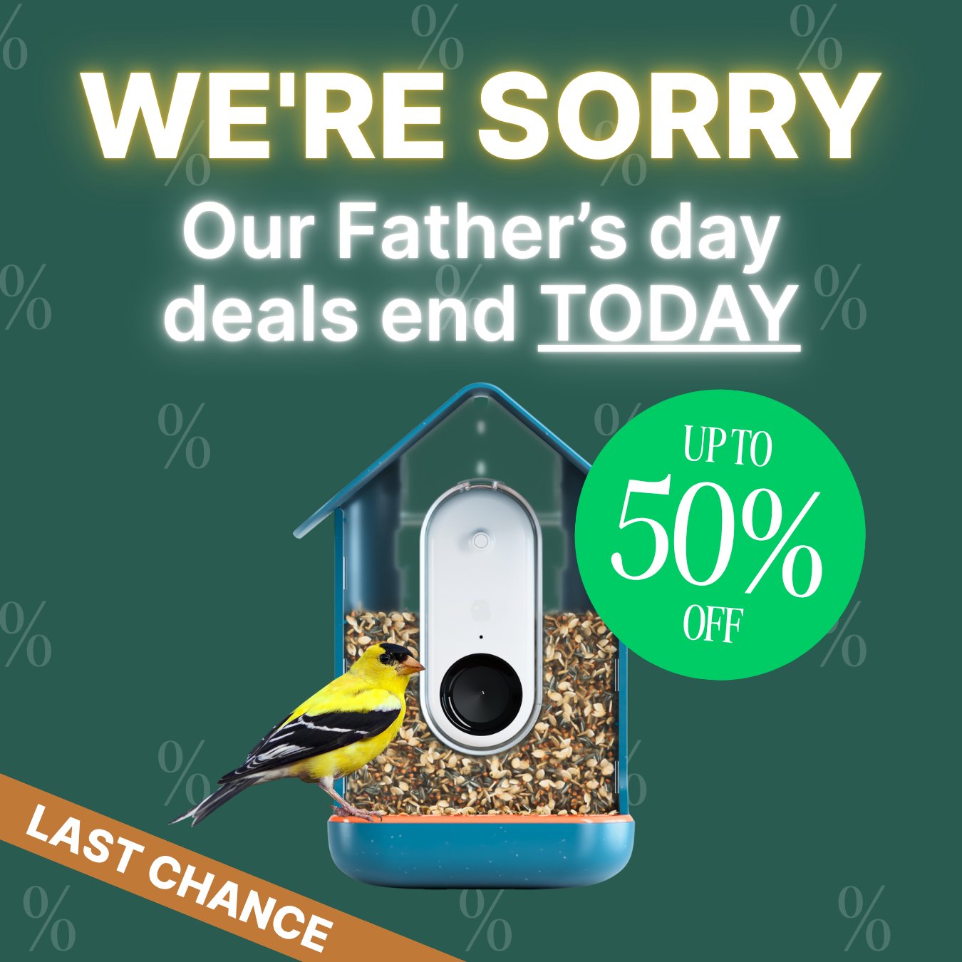 Birdbuddy Facebook ad