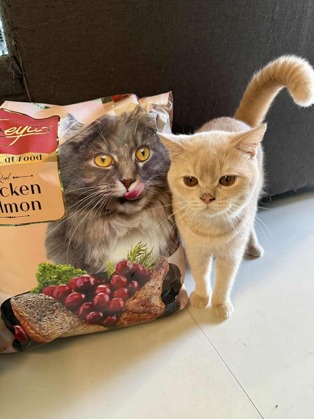 Same Day Pet Products Cabuyao Facebook ad: Sobrang ganda ng Freya Cat Food!