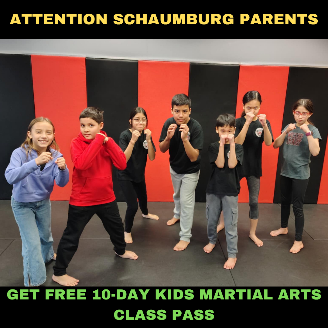 Krav Maga Force - Schaumburg Facebook ad: Want a FREE 10-Day, Kids Martial Arts Class Pass?