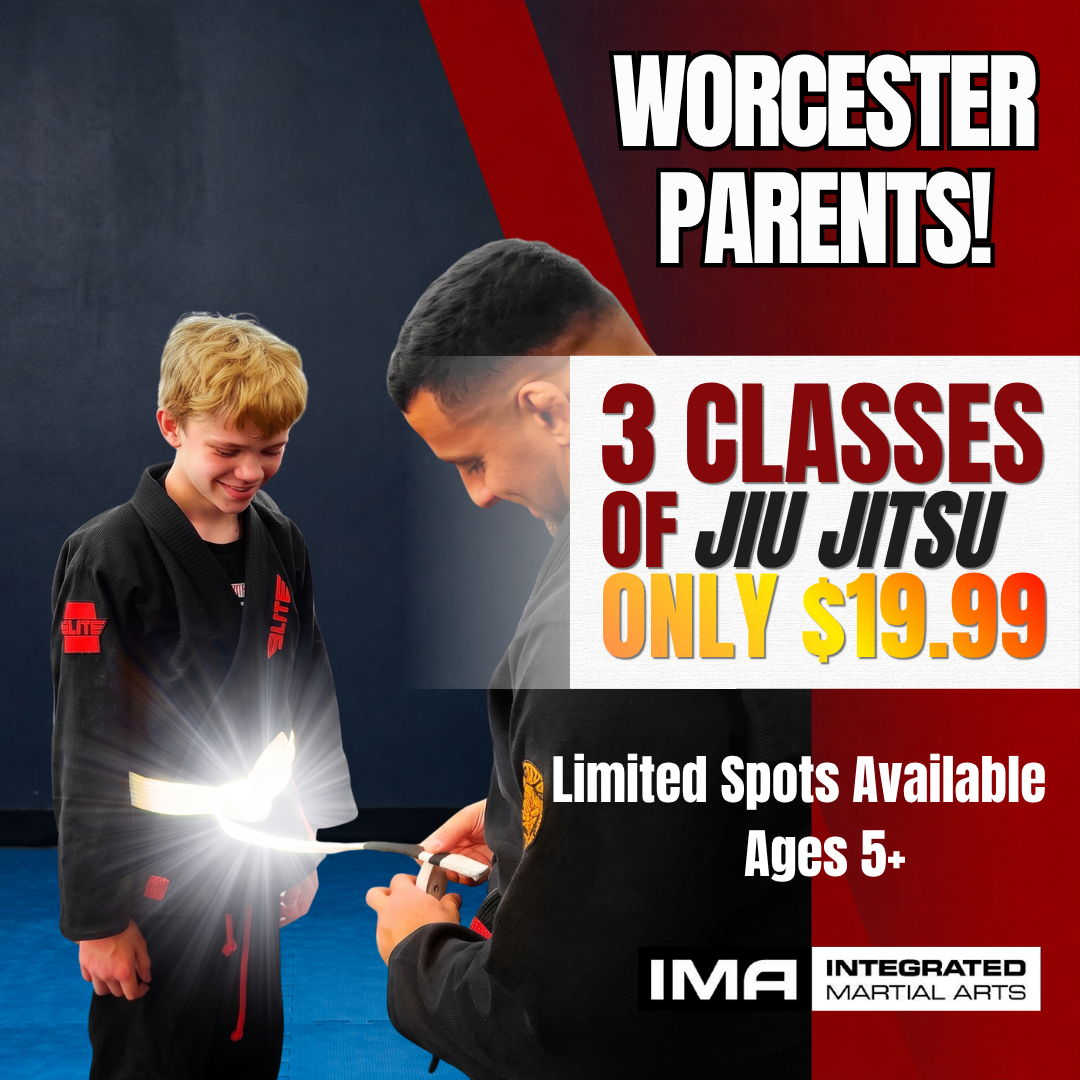 Integrated Martial Arts Worcester  Facebook ad