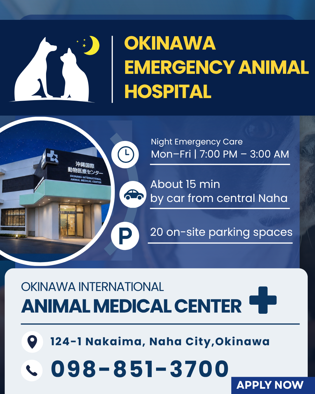 沖縄夜間動物病院 Facebook ad from Jun 30, 2026