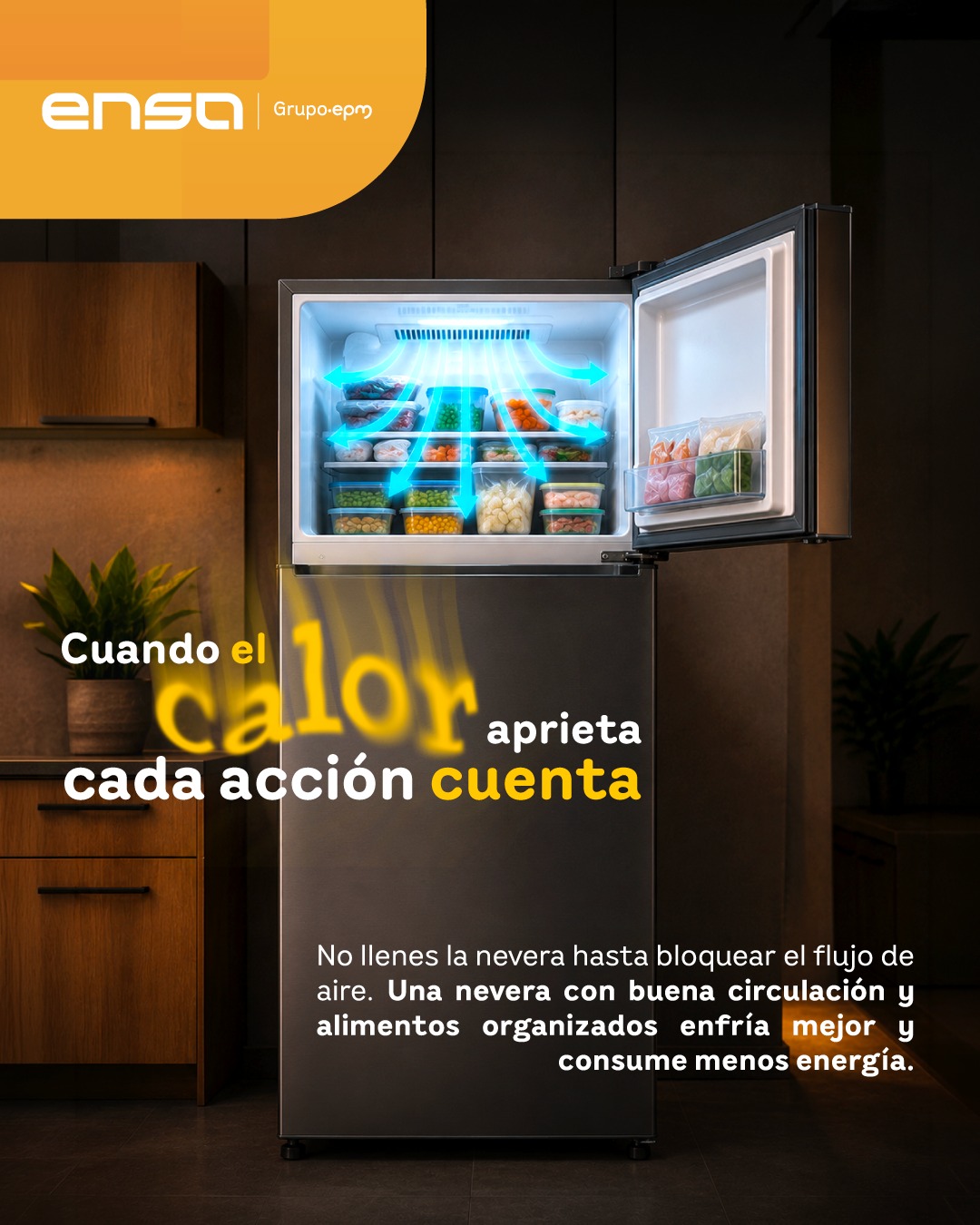 ENSA Panamá Facebook ad: Tu congelador también necesita espacio para hacer bien…
