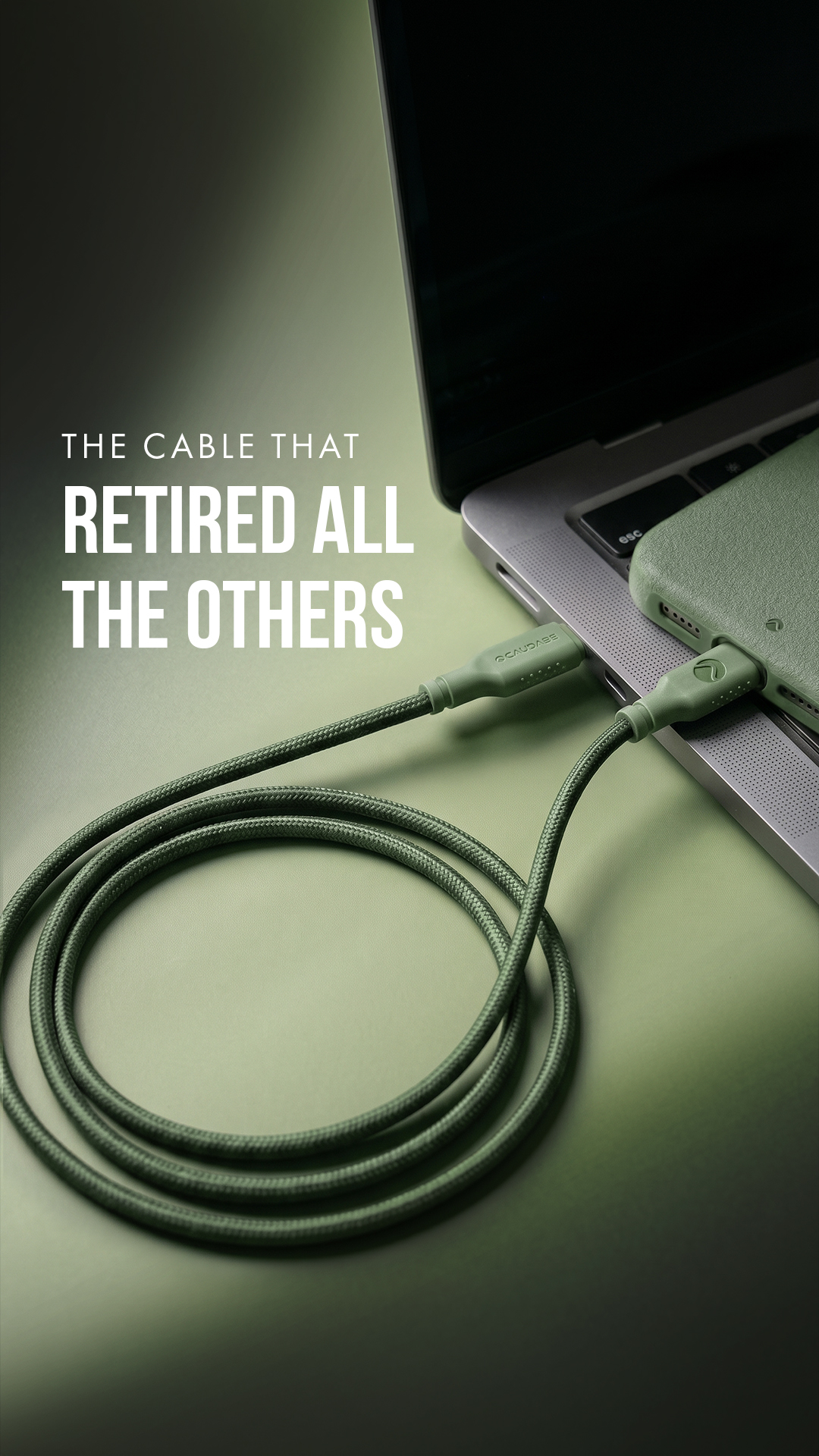 Caudabe Facebook ad: The only cable you need.