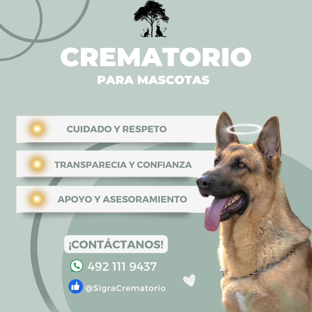 Sigra: Crematorio de Mascotas Facebook ad: ¡Dale un adiós digno a tu mejor amigo!