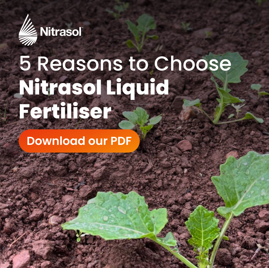 Nitrasol Facebook ad: Download Our FREE PDF | Nitrasol Liquid Fertiliser