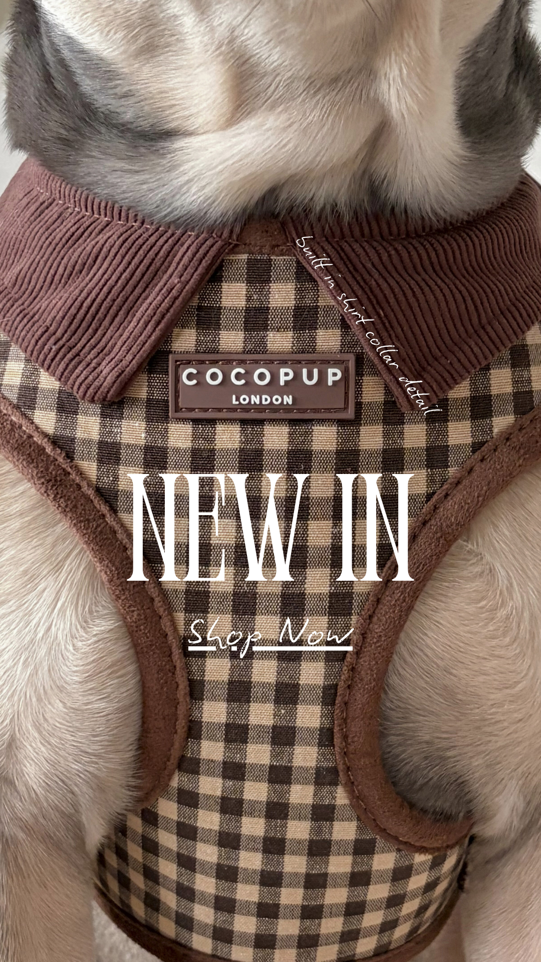 Cocopupuk Facebook ad