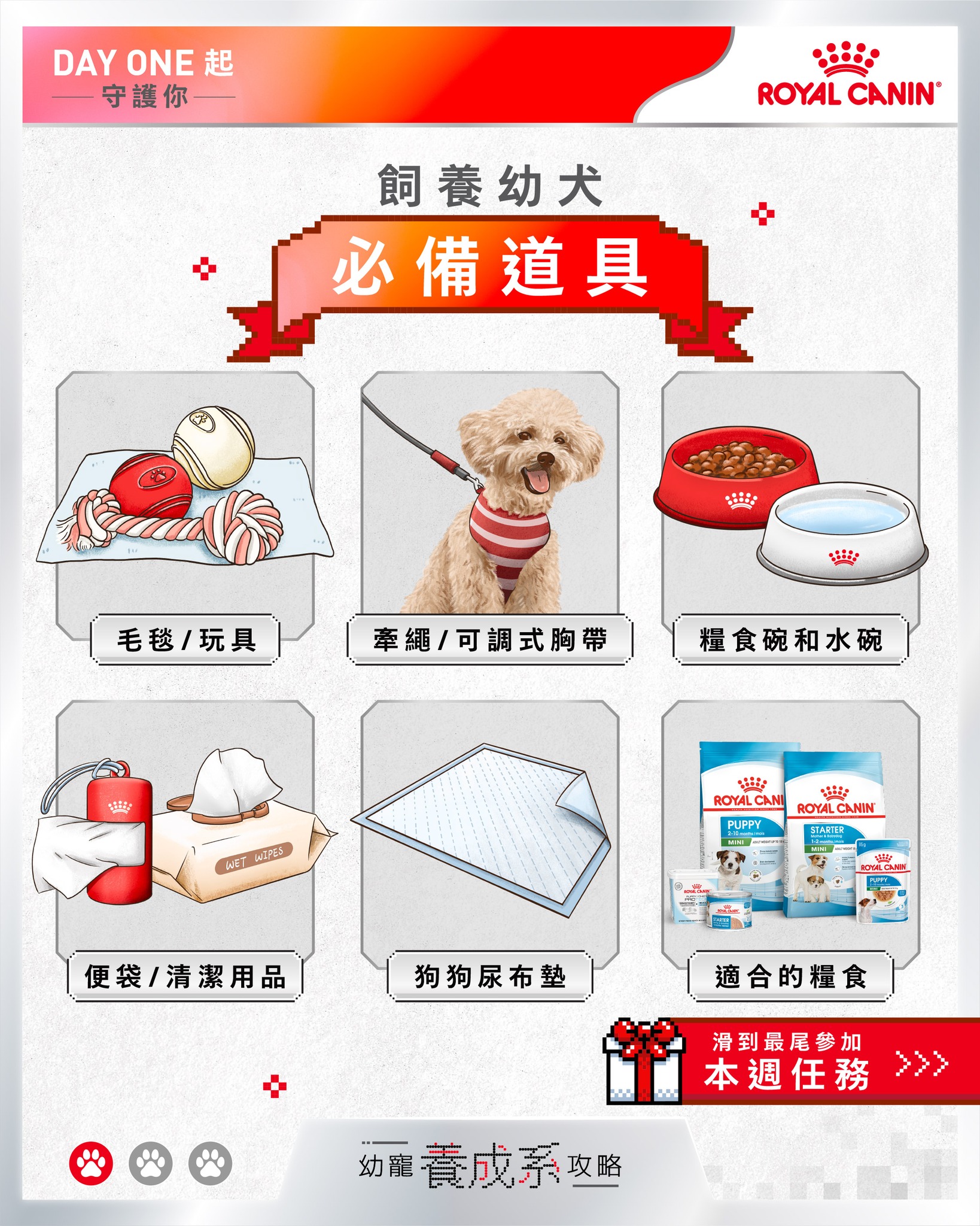 Royal Canin HK Facebook ad: 【幼寵養成系攻略1】前期準備:幼犬必備用品+設計佈局 
