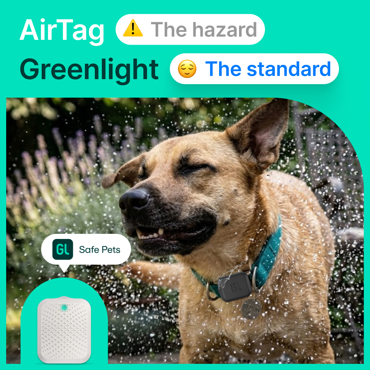 Greenlight Facebook ad