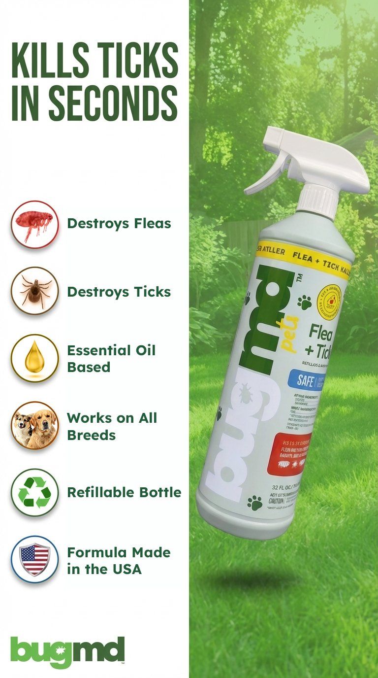 Flea & Tick Control Facebook ad