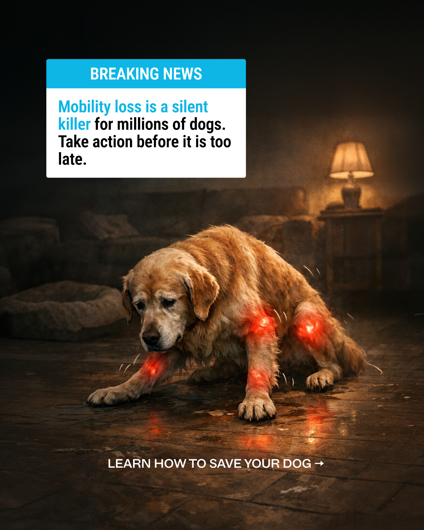 Dog is Human Facebook ad