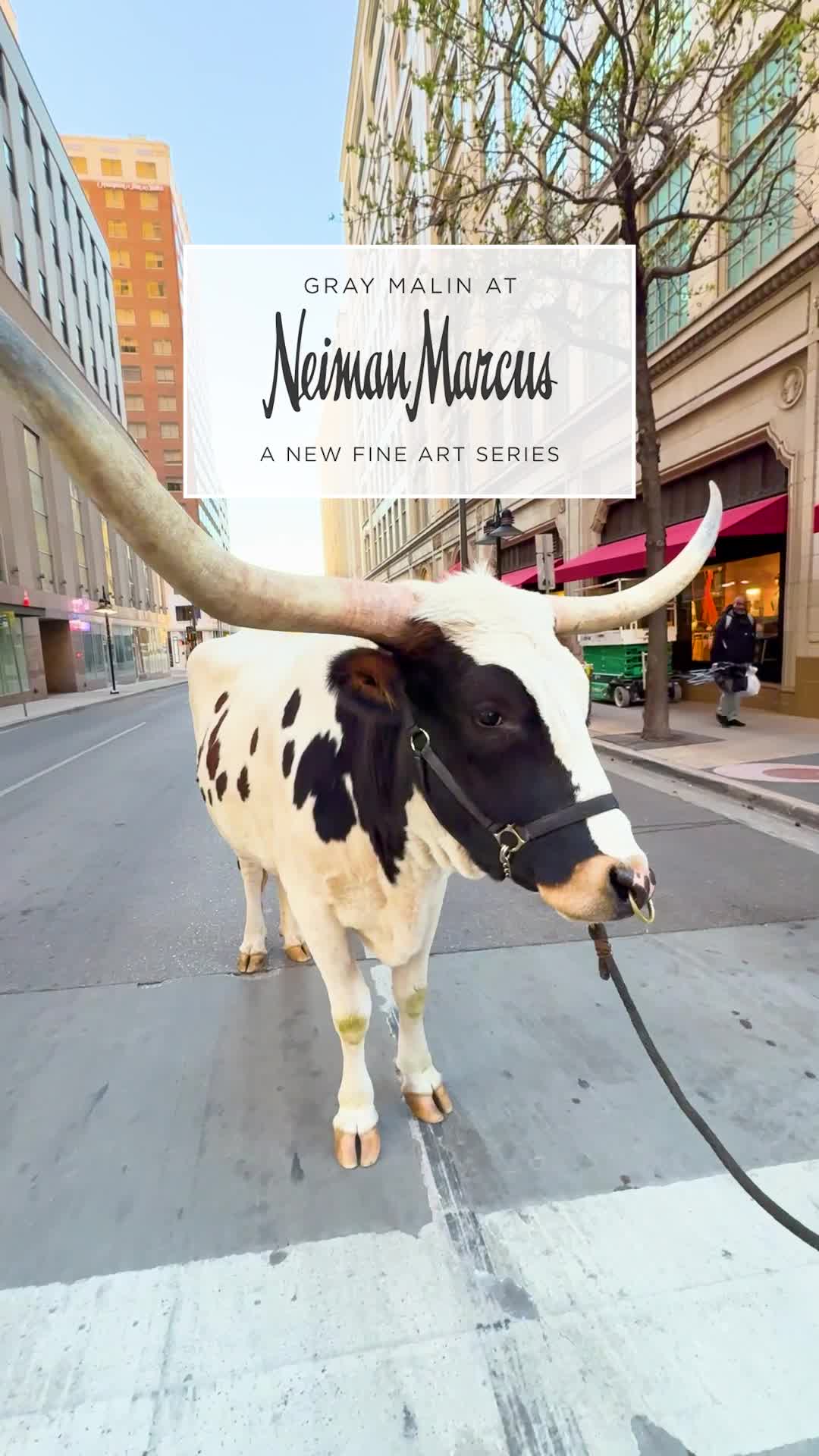 Gray Malin Facebook ad: Gray Malin at Neiman Marcus