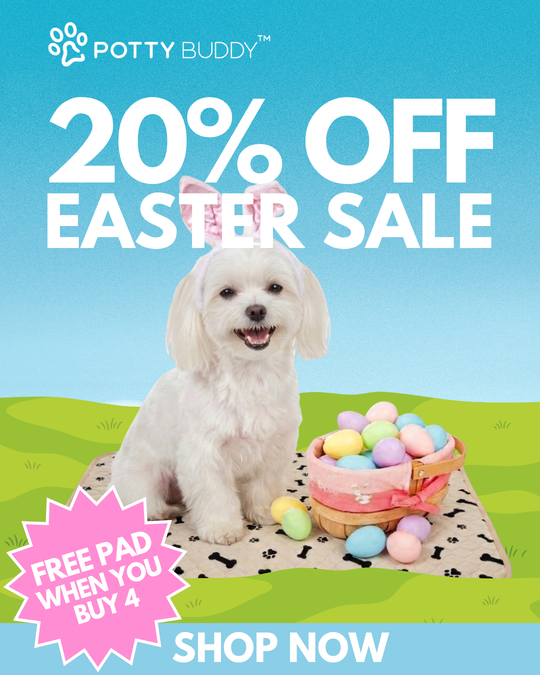 Potty Buddy Facebook ad
