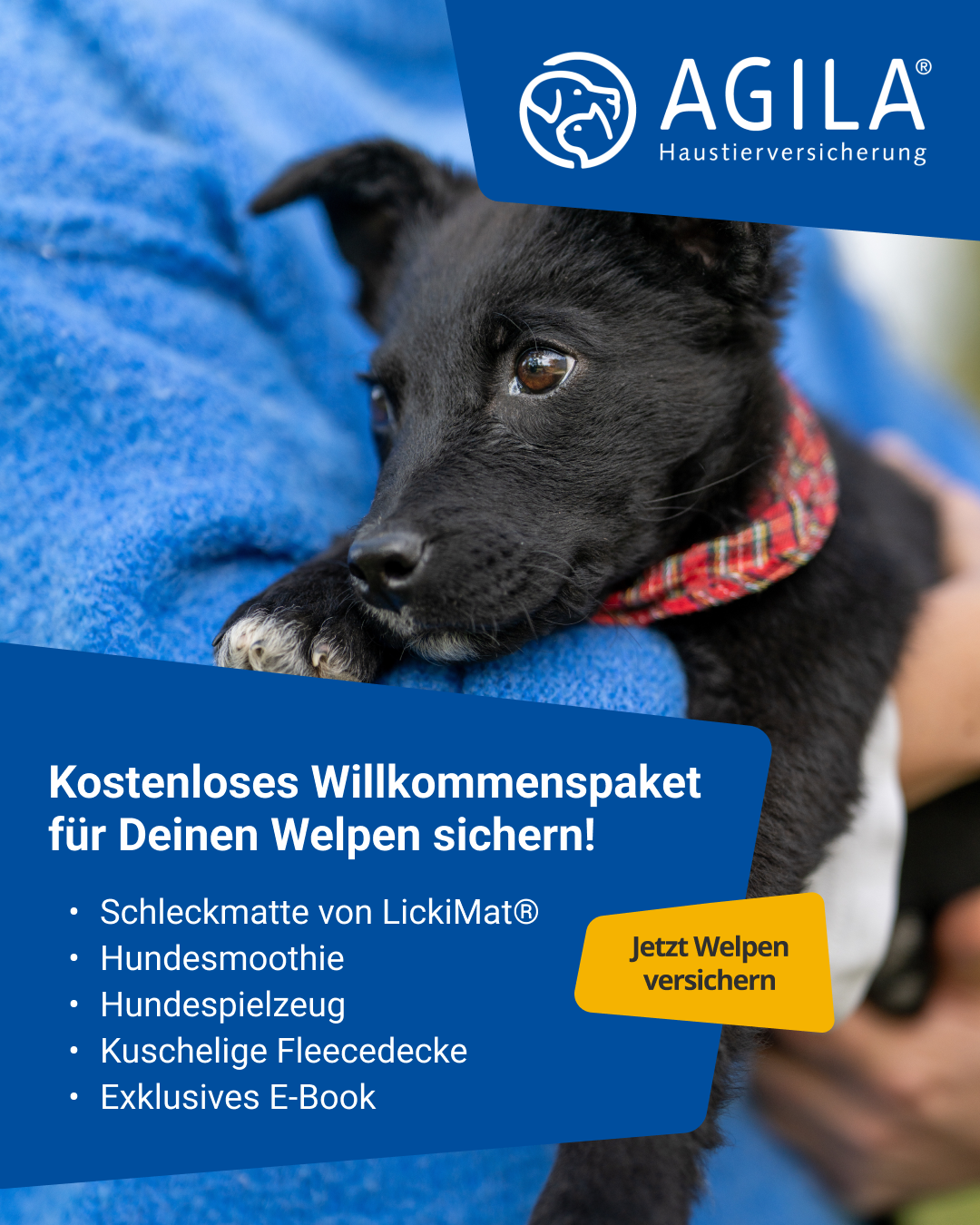 AGILA Haustierversicherung Facebook ad