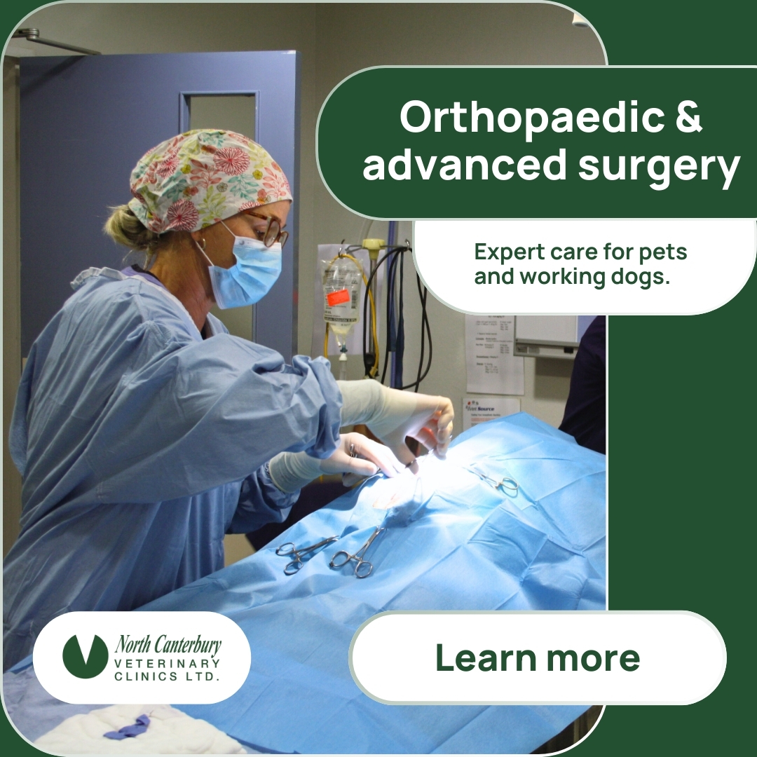 North Canterbury Vet Clinics Facebook ad