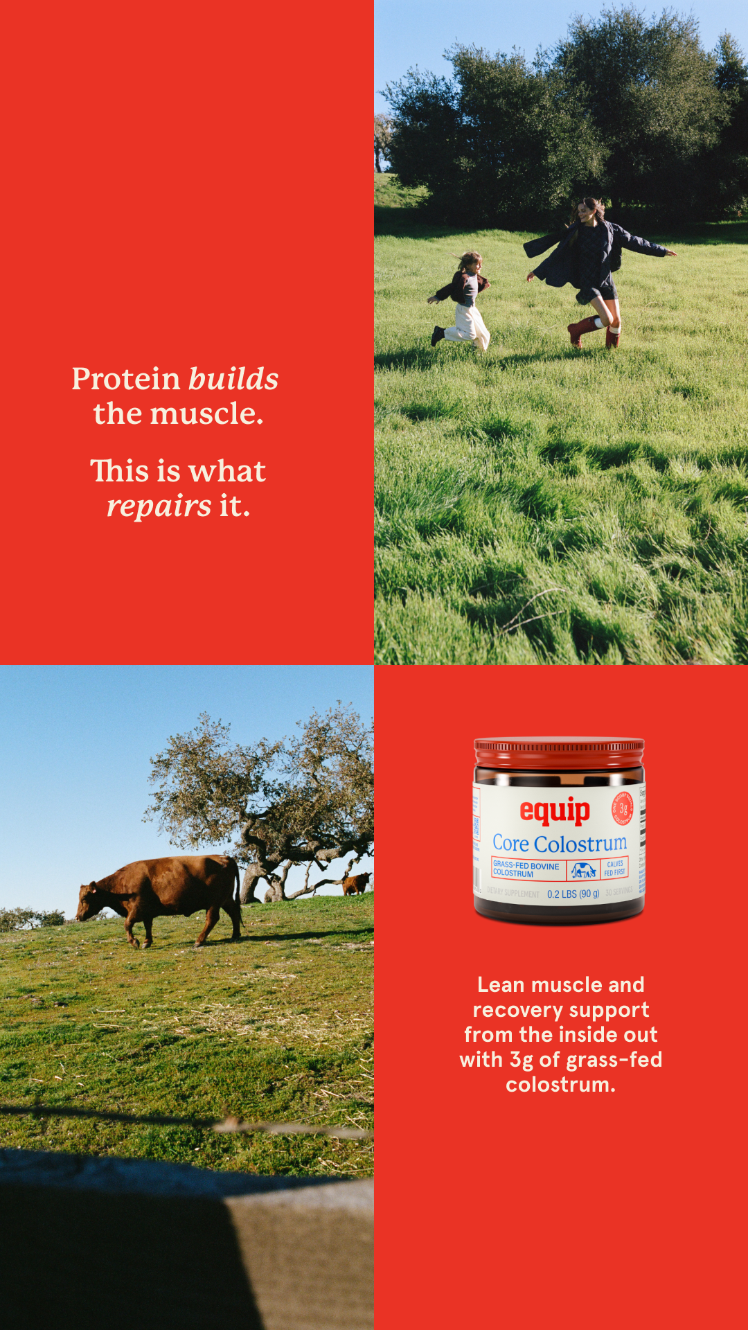 Equip Facebook ad