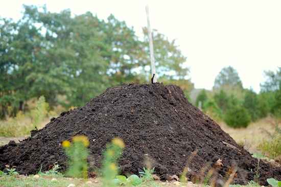Carol Peyton Facebook ad: Mulch Forest - Bulk Order with Delivery Available - We…