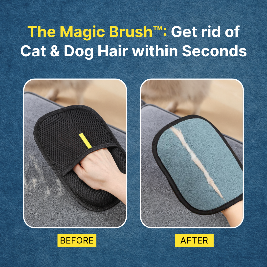 The Magic Brush Facebook ad
