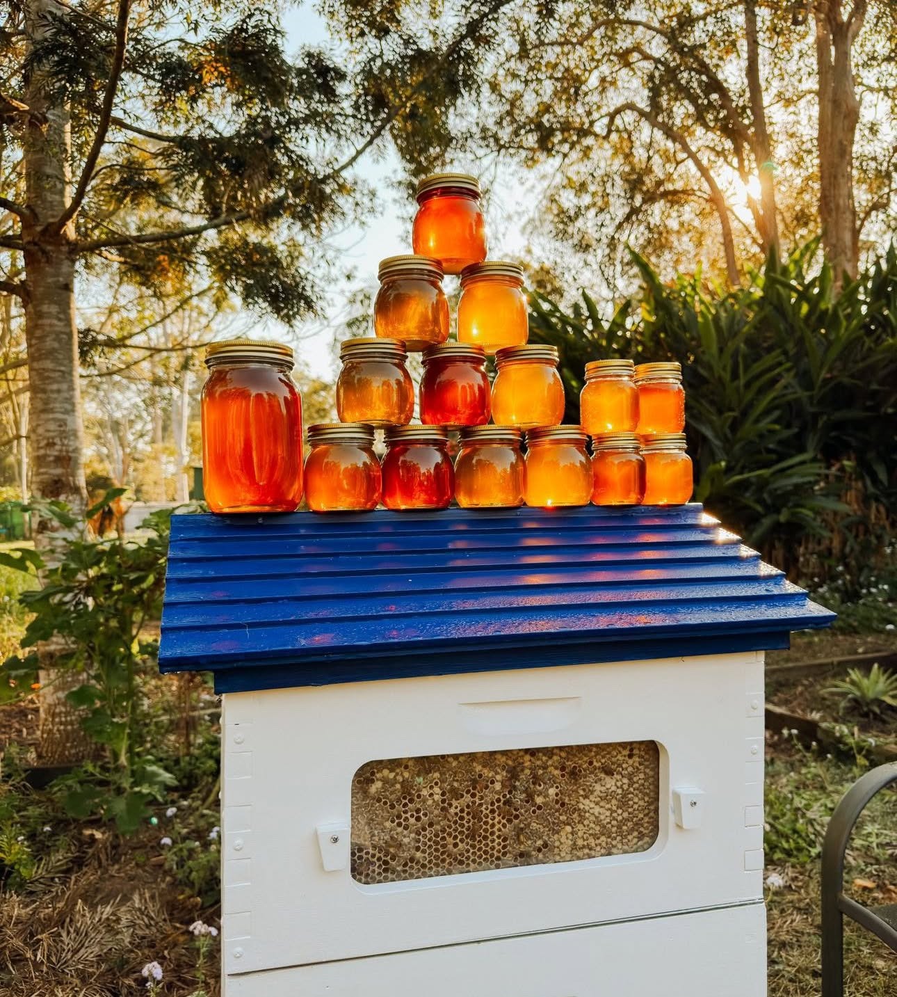 Flow Hive Facebook ad: Start keeping bees with a Flow Hive