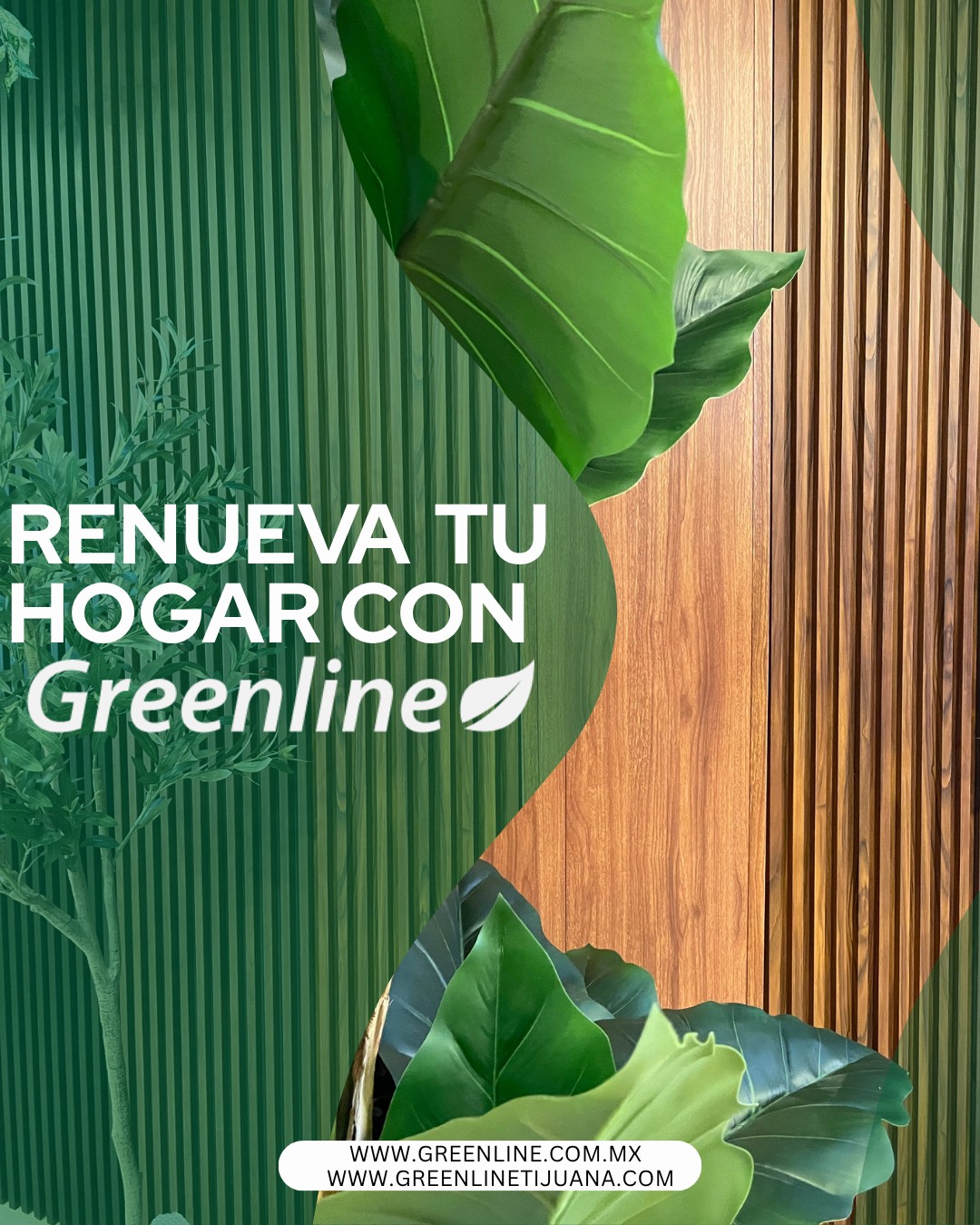 Greenline Cabo, Insumos para Decoracion Facebook ad: CAB