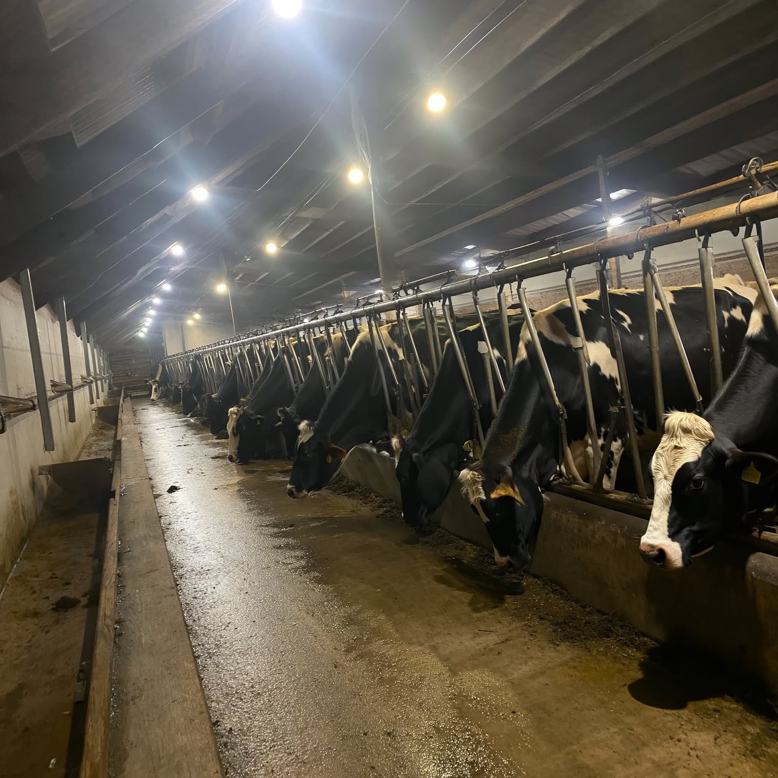 John Miller Facebook ad: Most dairy farms don’t have this tool in their parlor