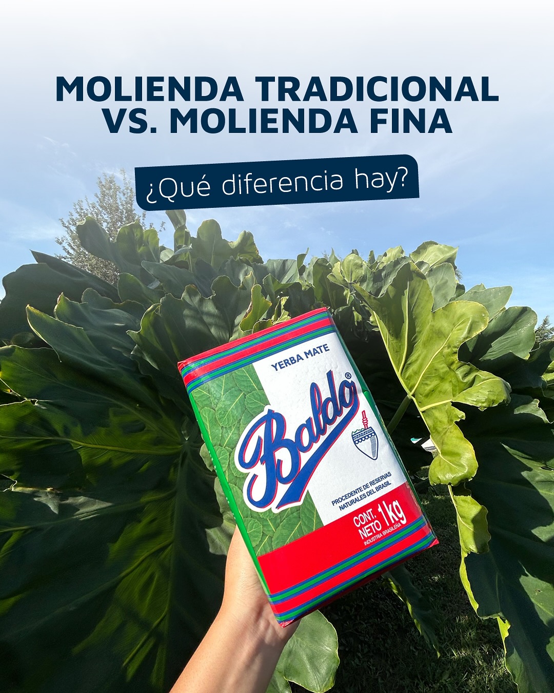 Baldo Argentina Facebook ad