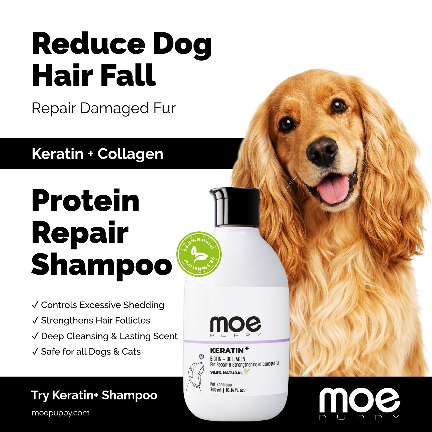Moe Puppy Facebook ad