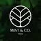 Mist & Co. Ilocos
