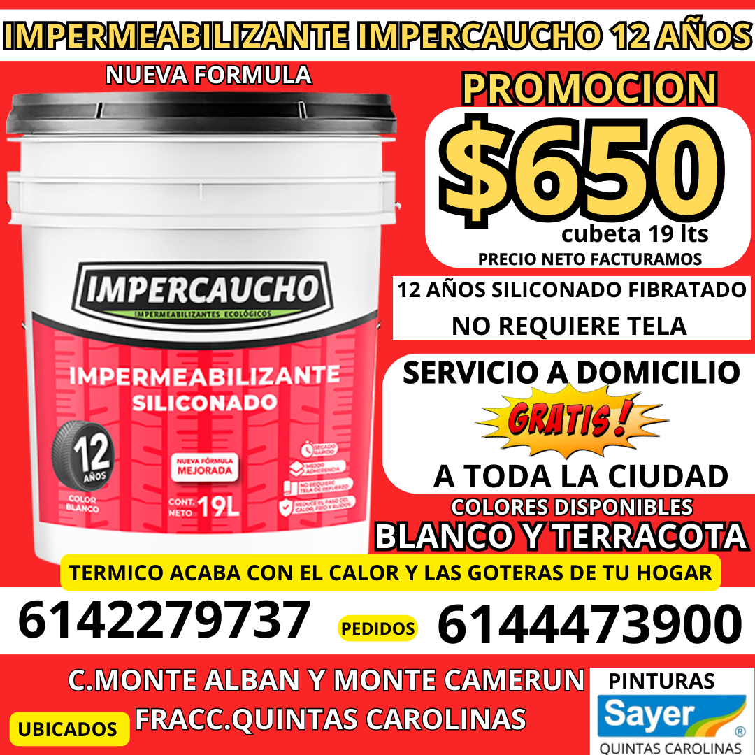 Impercaucho chihuahua Facebook ad from Jun 30, 2024