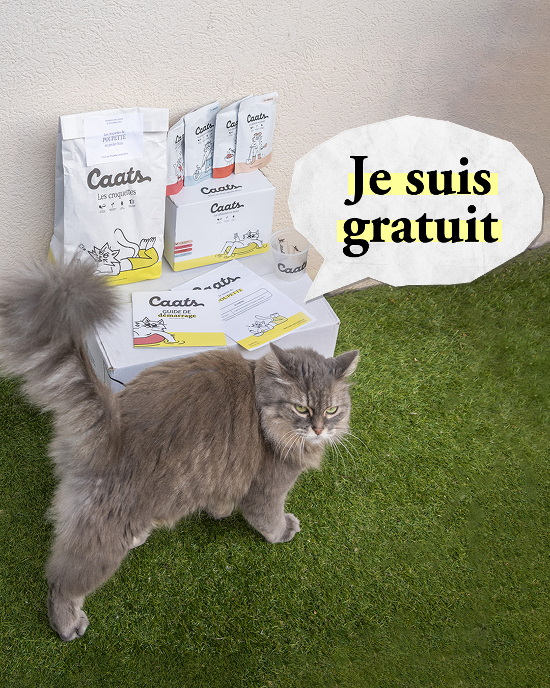 Caats Facebook ad