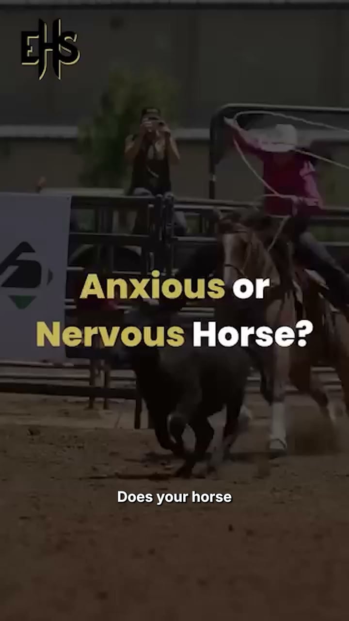 Equine Health Solutions Facebook ad: Training doesn't disappear under pressure. Focus does.
