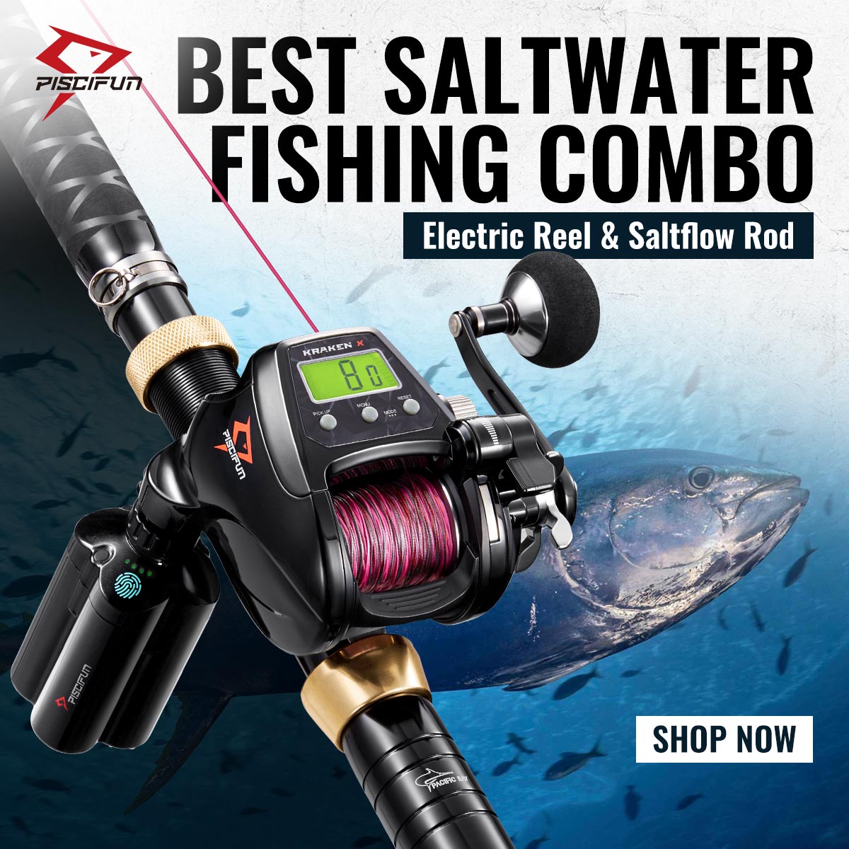 Piscifun Facebook ad