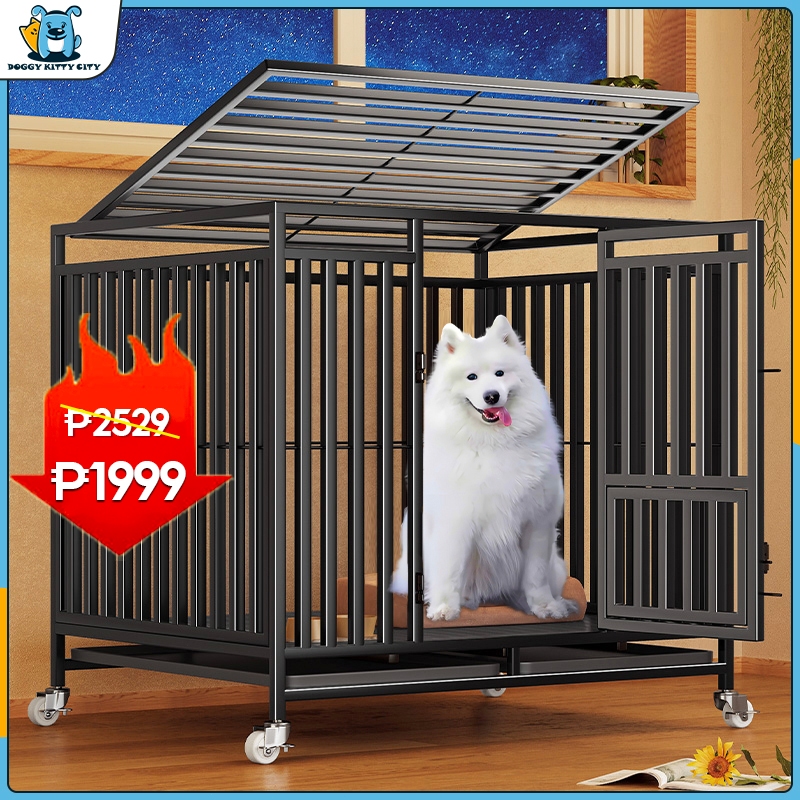 Doggy kitty city Facebook ad: Save big with Doggy Kitty City shop on…