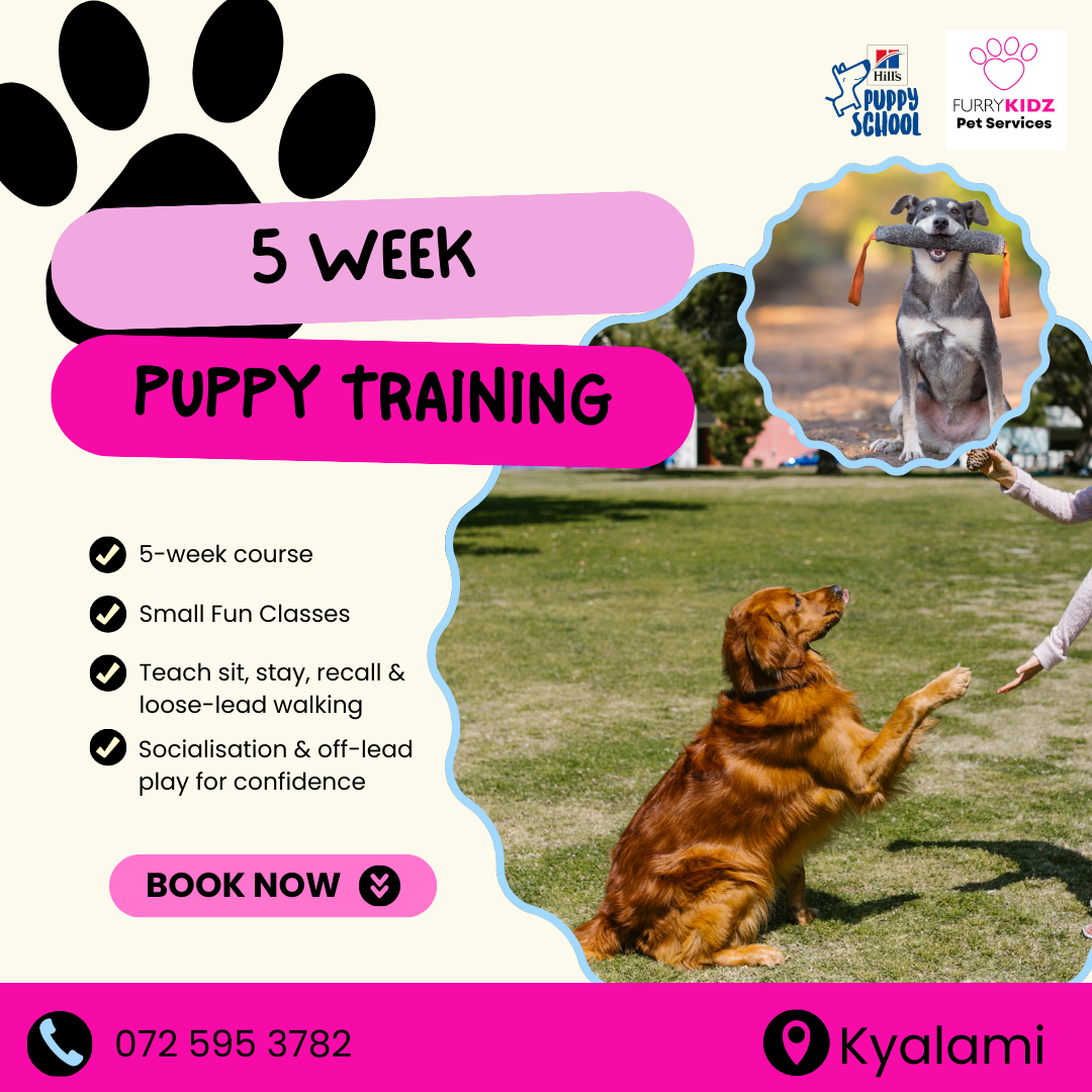 Furry Kidz Pet services Facebook ad: Graduate Your Pup from Chaos to Class!
