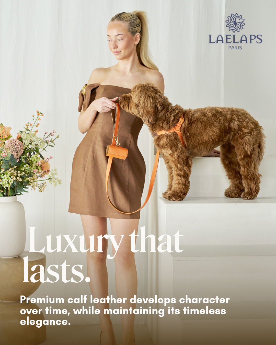 Laelaps Accessories Facebook ad: Discover premium collection
