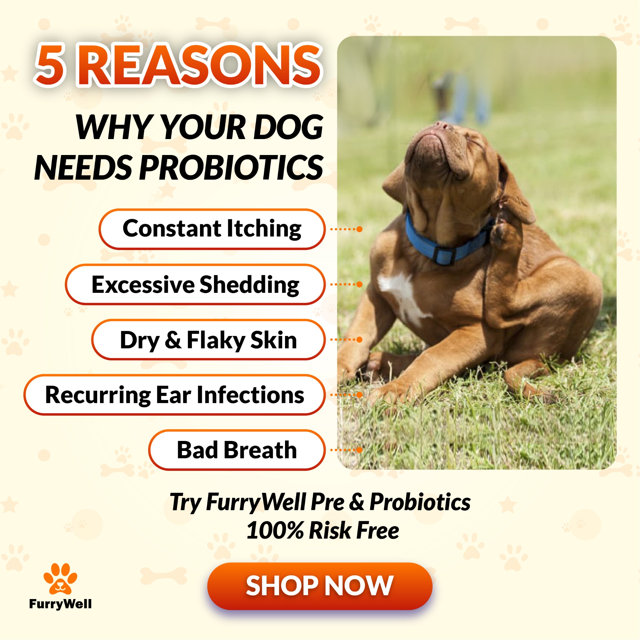FurryWell Facebook ad: Fix Itching, Digestion & Immunity From the Inside