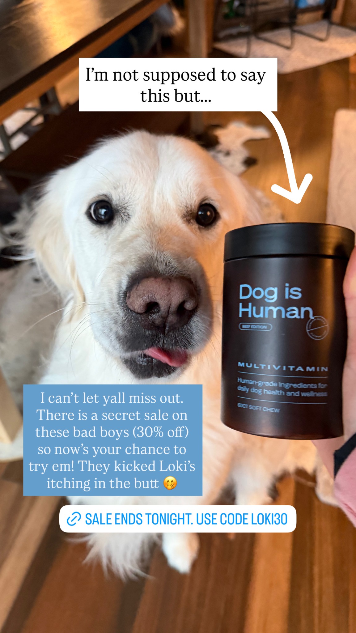 Dog is Human Facebook ad