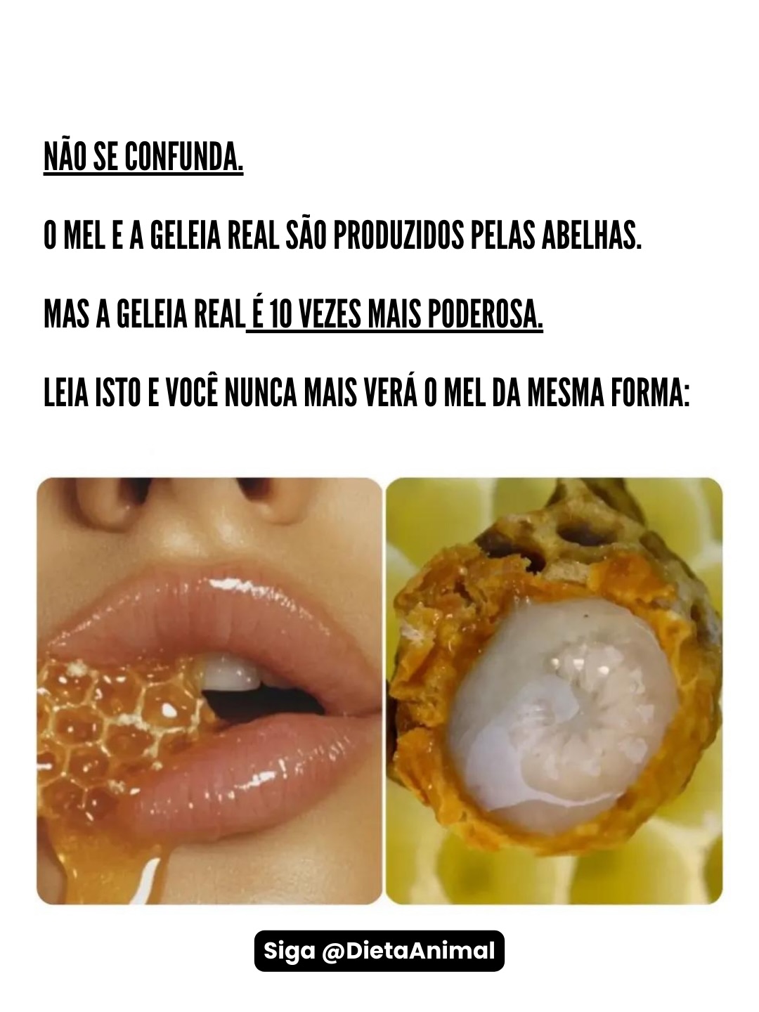 Dietaanimal Facebook ad: Na nossa loja @ultrameloficial temos geleia real pura…