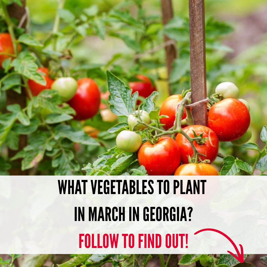 Georgia Gardener Facebook ad from Mar 23, 2026