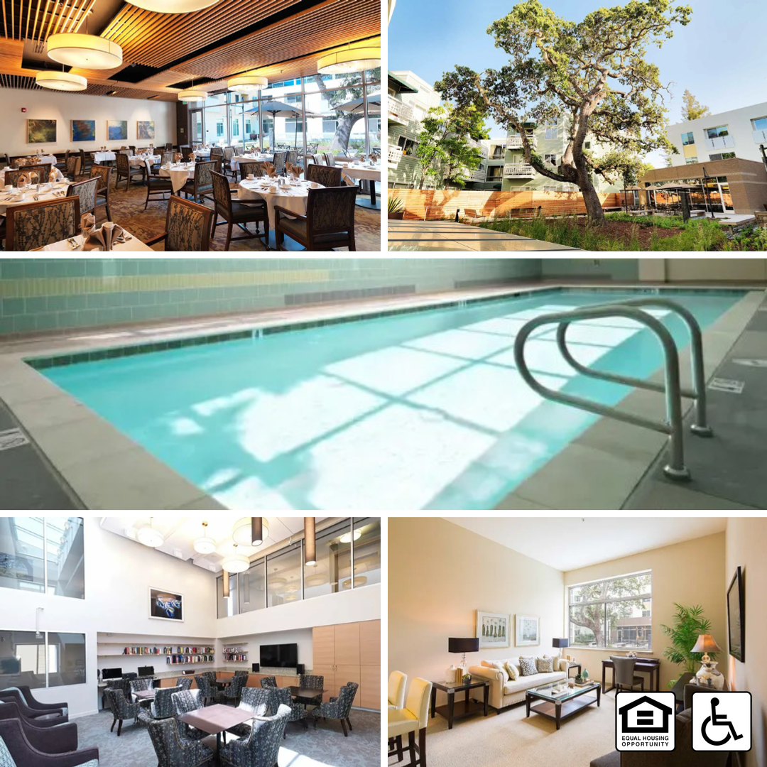 Palo Alto Commons Facebook ad: Experience Vibrant Senior Living in Palo Alto