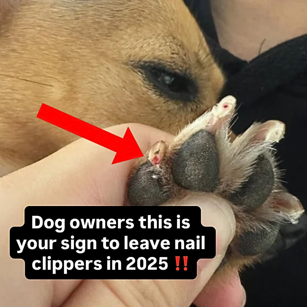 Nancys Health Blog Facebook ad: Read This If Nail Trimming Is A Battle