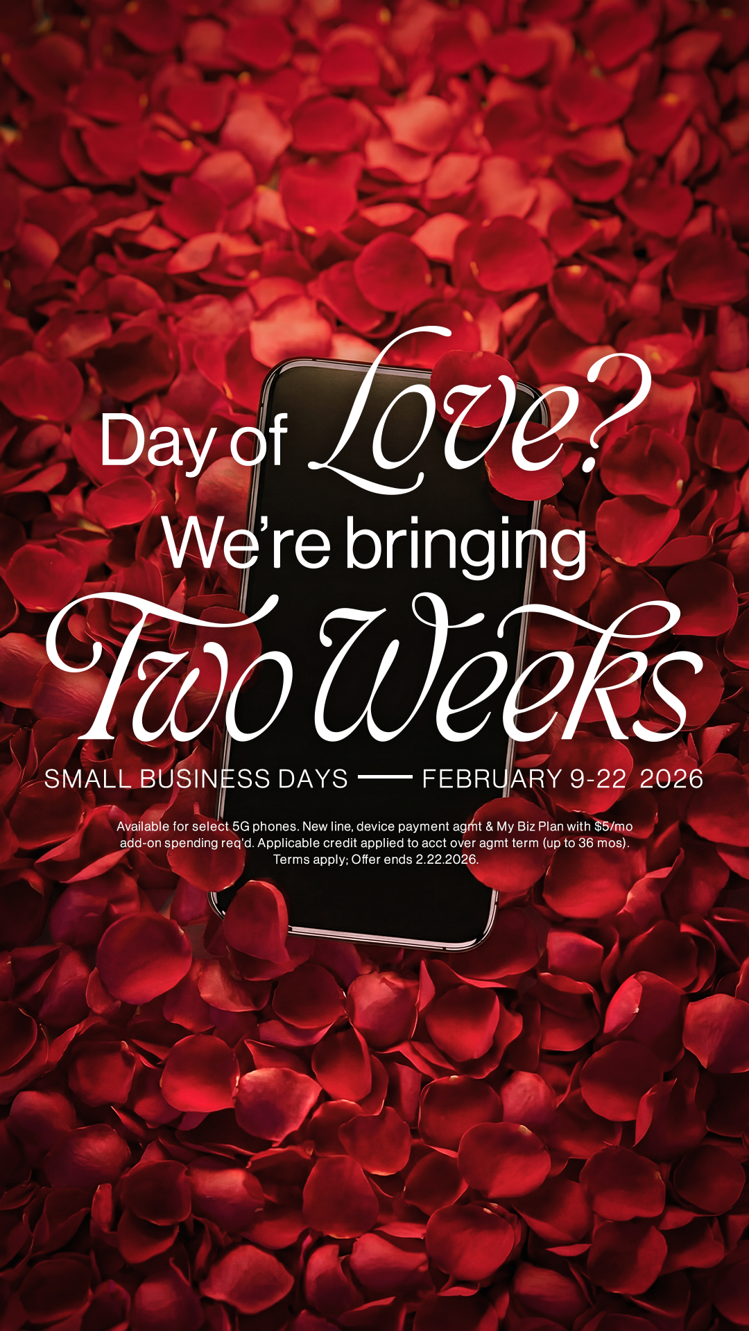 Verizon Business Facebook ad
