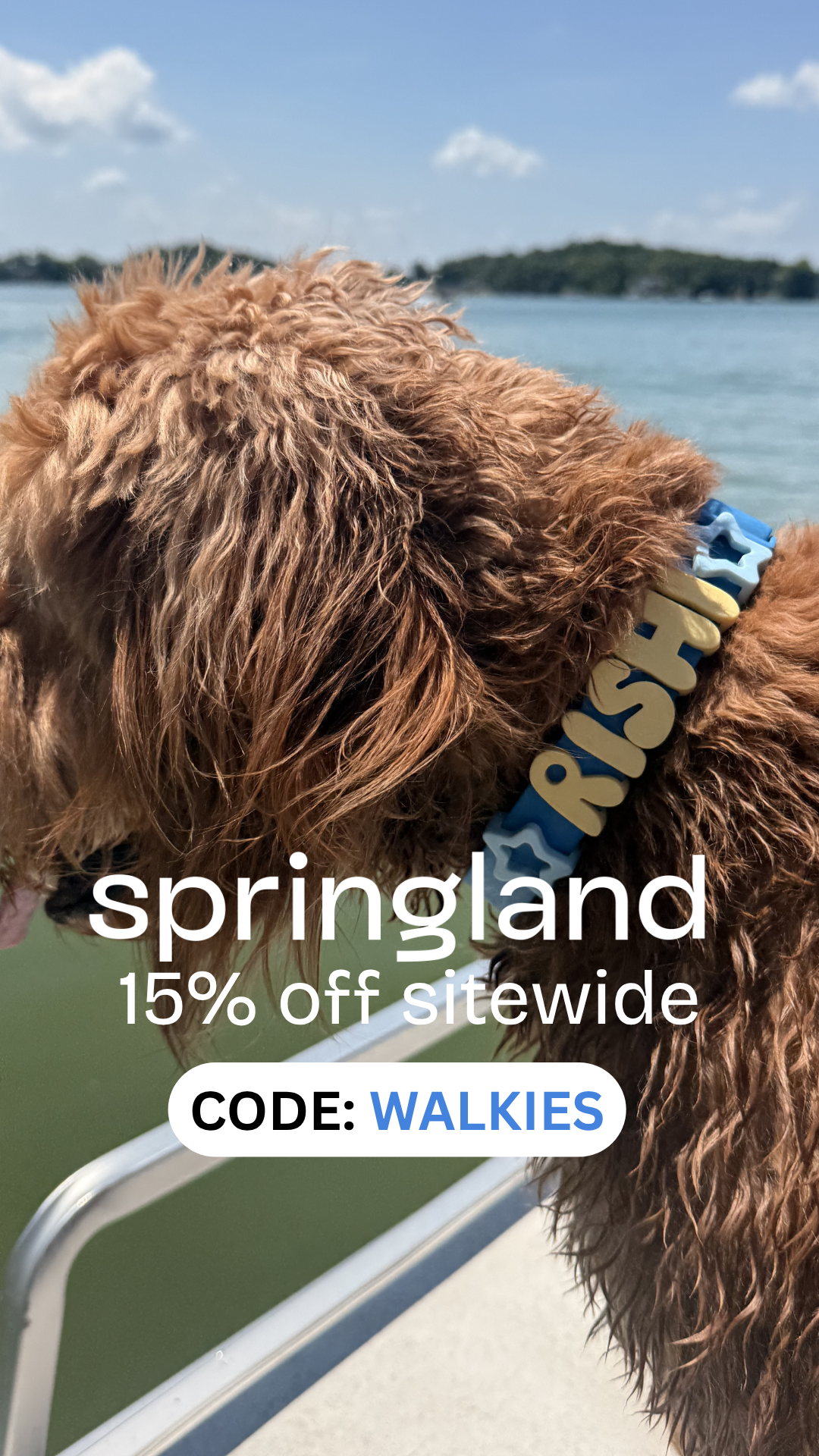 Springland Pets Facebook ad